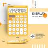 imageCATIGA 12 Digit Desktop Calculator Basic Desk Calculator with Large LCD Display Big Buttons 4 Function Solar and Battery Dual Power for Office School Home SD1292 Fresh Blue9 Yellow